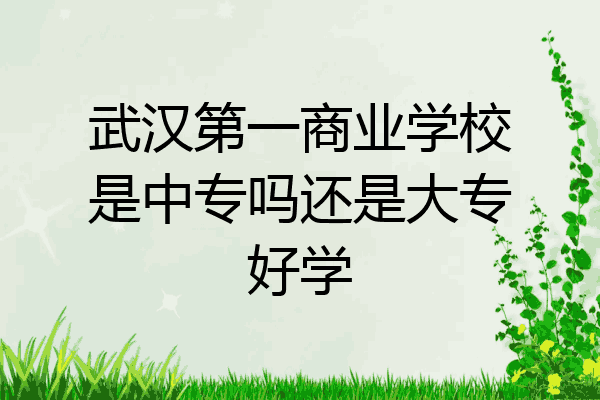 武汉第一商业学校是中专吗还是大专好学