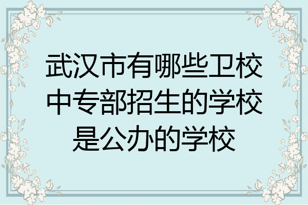 武汉市有哪些卫校中专部招生的学校是公办的学校