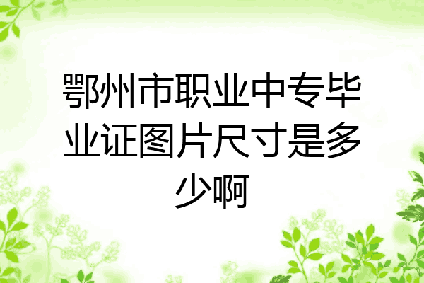 鄂州市职业中专毕业证图片尺寸是多少啊
