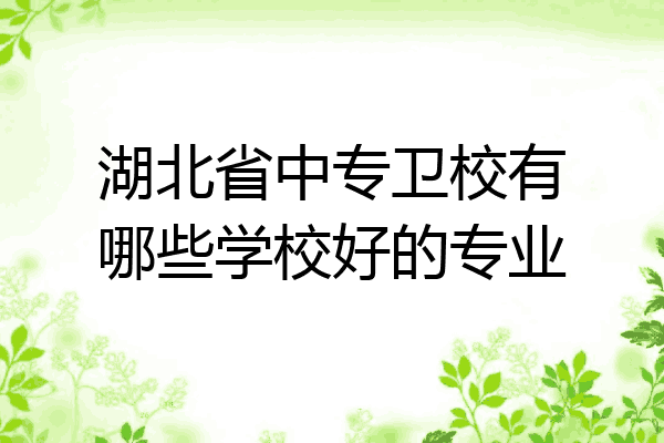 湖北省中专卫校有哪些学校好的专业
