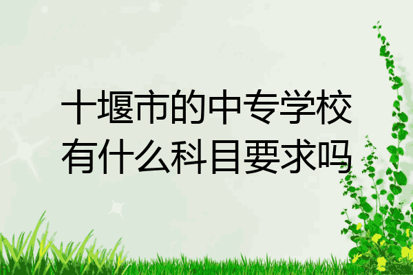 十堰市的中专学校有什么科目要求吗