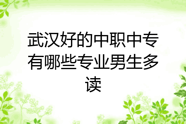 武汉好的中职中专有哪些专业男生多读