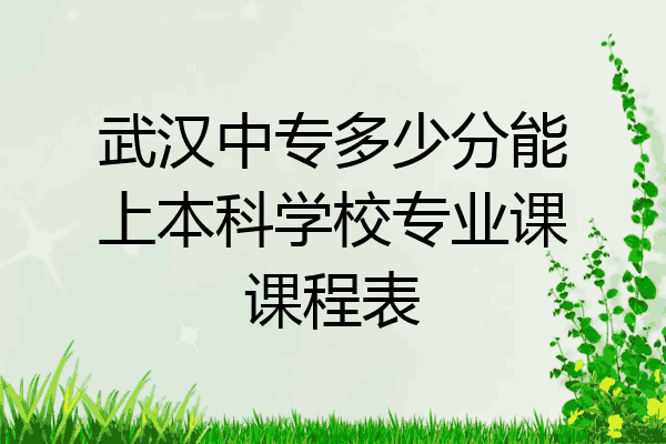 武汉中专多少分能上本科学校专业课课程表