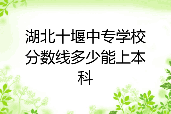 湖北十堰中专学校分数线多少能上本科