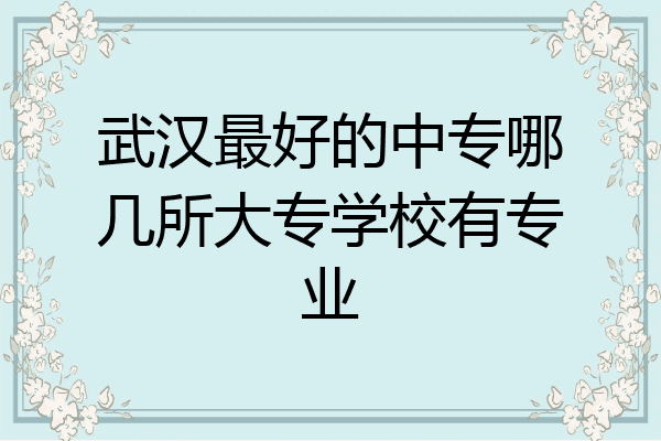 武汉最好的中专哪几所大专学校有专业