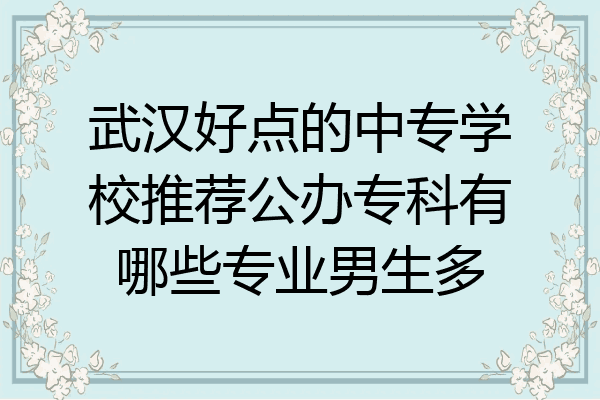 武汉好点的中专学校推荐公办专科有哪些专业男生多