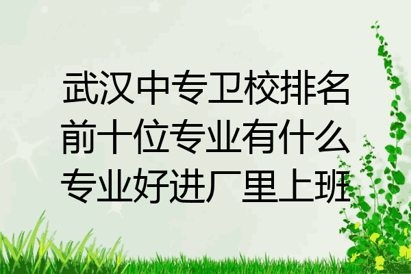 武汉中专卫校排名前十位专业有什么专业好进厂里上班