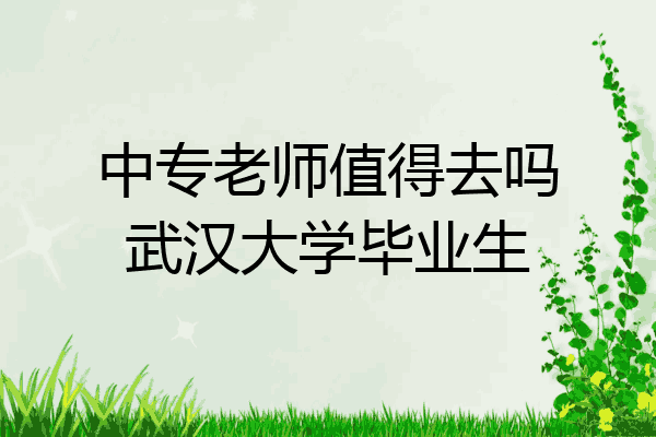 中专老师值得去吗武汉大学毕业生