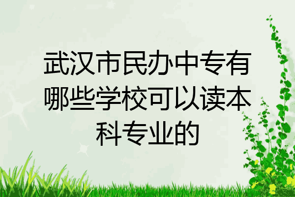 武汉市民办中专有哪些学校可以读本科专业的