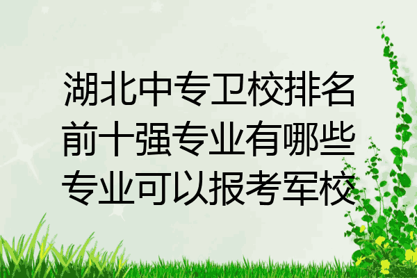 湖北中专卫校排名前十强专业有哪些专业可以报考军校
