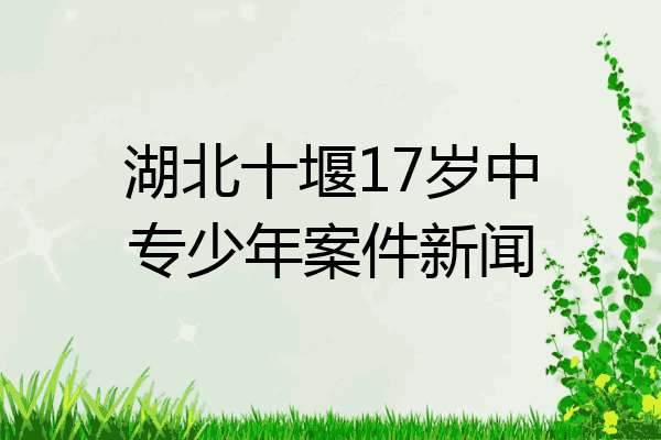湖北十堰17岁中专少年案件新闻