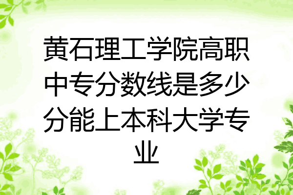 黄石理工学院高职中专分数线是多少分能上本科大学专业