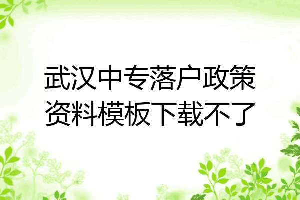 武汉中专落户政策资料模板下载不了