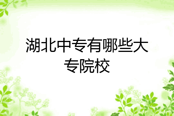 湖北中专有哪些大专院校