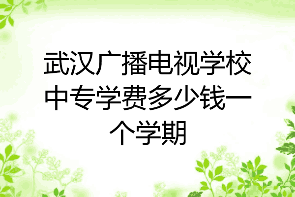 武汉广播电视学校中专学费多少钱一个学期