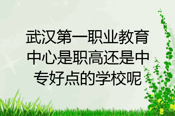 武汉第一职业教育中心是职高还是中专好点的学校呢