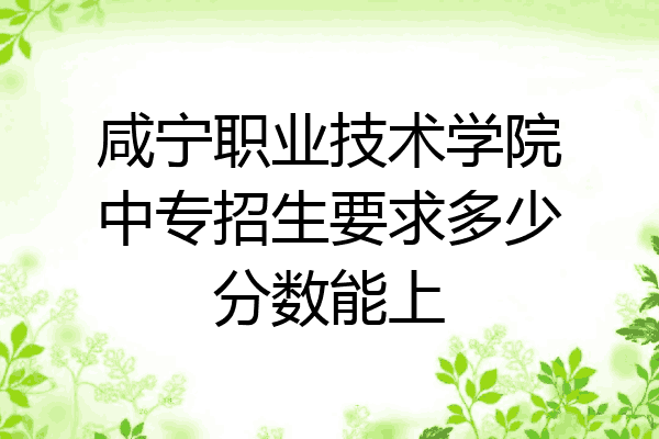 咸宁职业技术学院中专招生要求多少分数能上