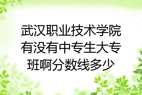 武汉职业技术学院有没有中专生大专班啊分数线多少
