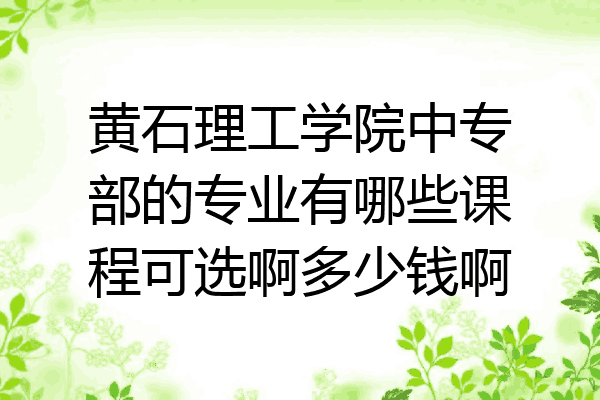 黄石理工学院中专部的专业有哪些课程可选啊多少钱啊