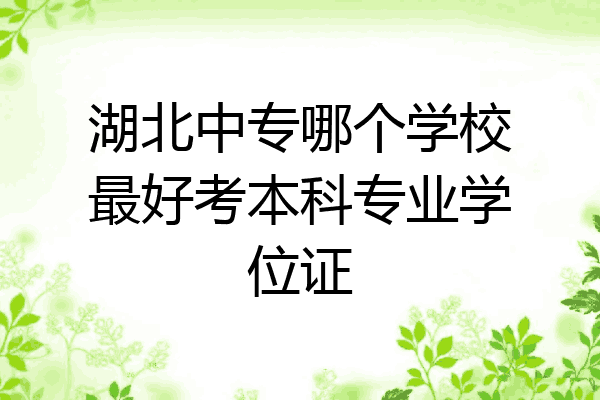 湖北中专哪个学校最好考本科专业学位证