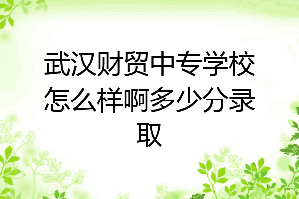 武汉财贸中专学校怎么样啊多少分录取