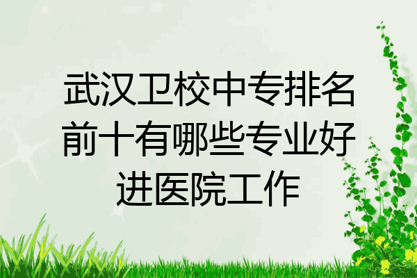武汉卫校中专排名前十有哪些专业好进医院工作