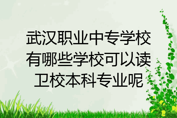 武汉职业中专学校有哪些学校可以读卫校本科专业呢