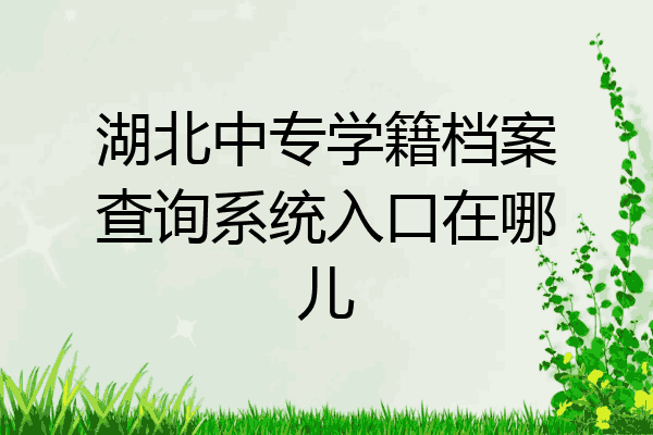 湖北中专学籍档案查询系统入口在哪儿