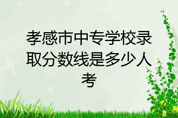 孝感市中专学校录取分数线是多少人考