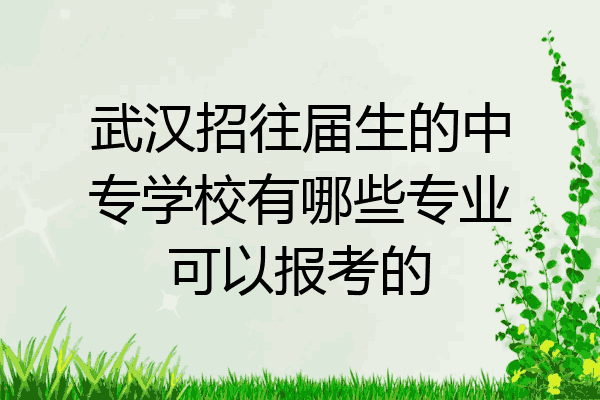 武汉招往届生的中专学校有哪些专业可以报考的