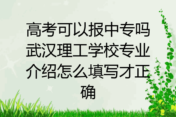 高考可以报中专吗武汉理工学校专业介绍怎么填写才正确