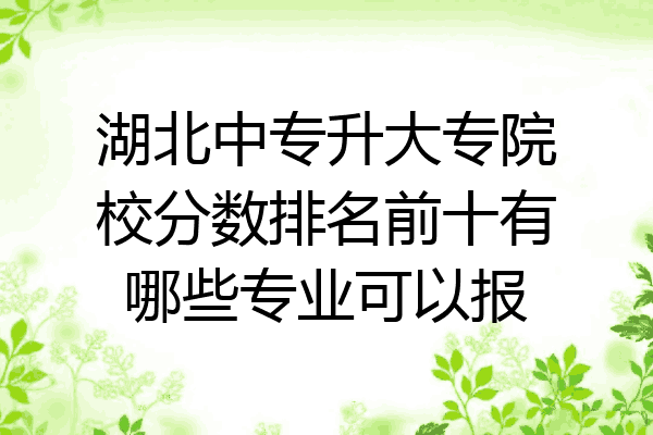 湖北中专升大专院校分数排名前十有哪些专业可以报