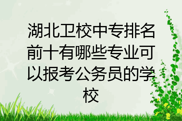 湖北卫校中专排名前十有哪些专业可以报考公务员的学校
