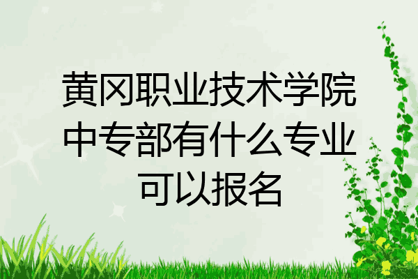 黄冈职业技术学院中专部有什么专业可以报名