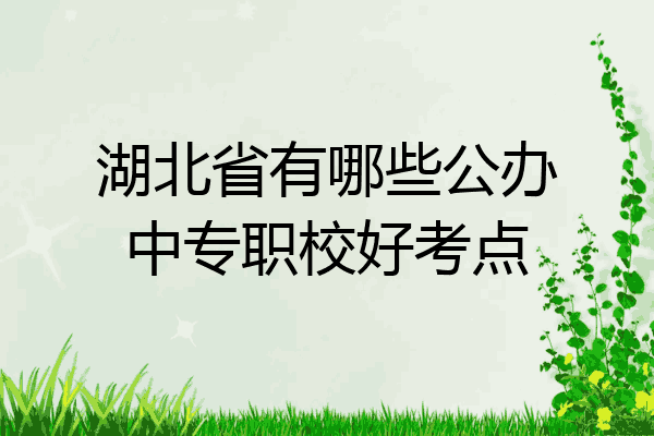 湖北省有哪些公办中专职校好考点