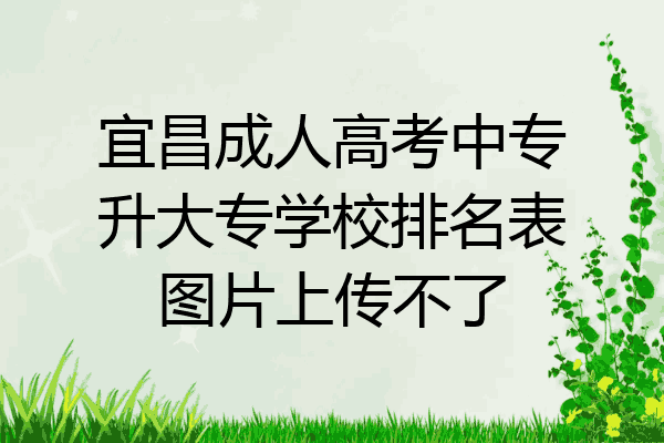 宜昌成人高考中专升大专学校排名表图片上传不了