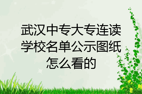 武汉中专大专连读学校名单公示图纸怎么看的