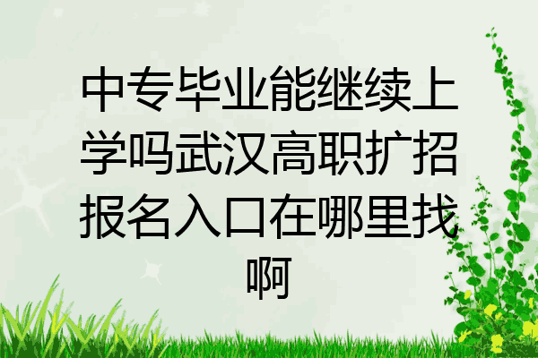 中专毕业能继续上学吗武汉高职扩招报名入口在哪里找啊