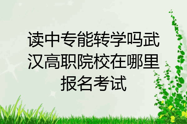 读中专能转学吗武汉高职院校在哪里报名考试