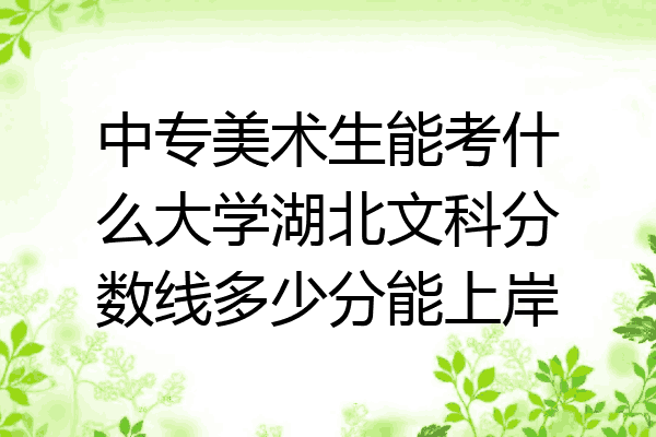 中专美术生能考什么大学湖北文科分数线多少分能上岸