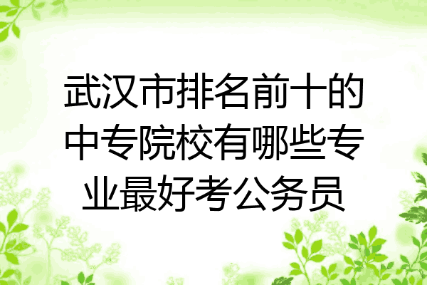 武汉市排名前十的中专院校有哪些专业最好考公务员