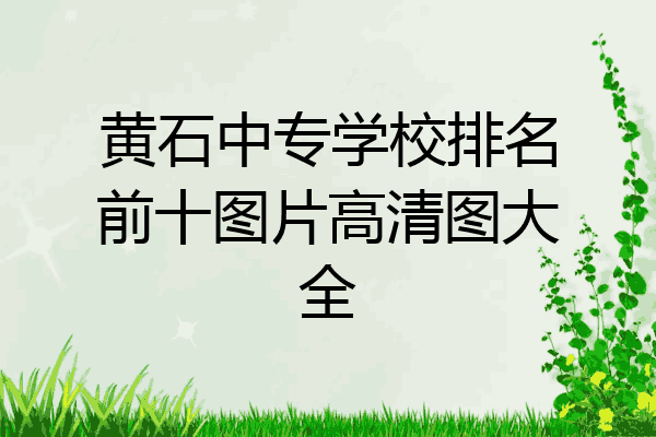 黄石中专学校排名前十图片高清图大全