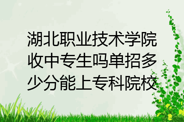 湖北职业技术学院收中专生吗单招多少分能上专科院校