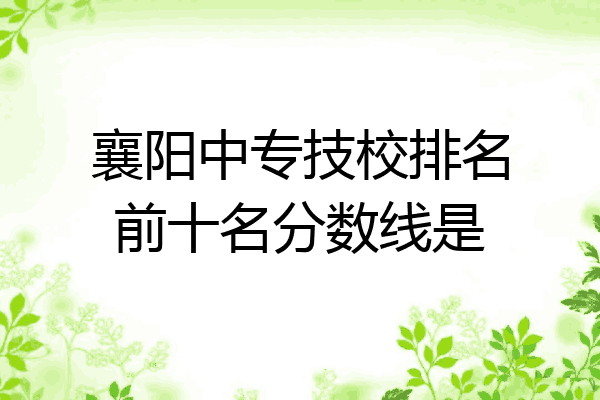 襄阳中专技校排名前十名分数线是