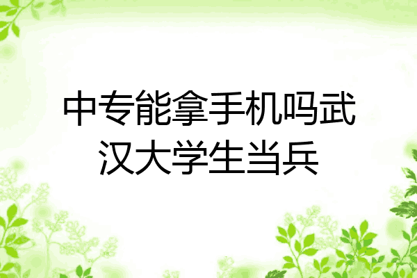 中专能拿手机吗武汉大学生当兵