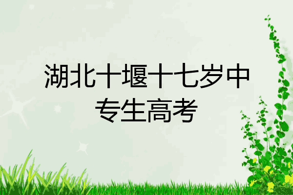 湖北十堰十七岁中专生高考