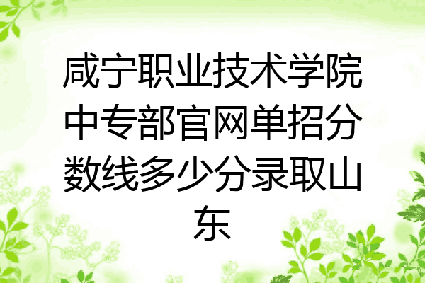 咸宁职业技术学院中专部官网单招分数线多少分录取山东