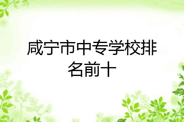 咸宁市中专学校排名前十