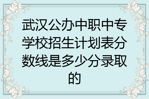 武汉公办中职中专学校招生计划表分数线是多少分录取的