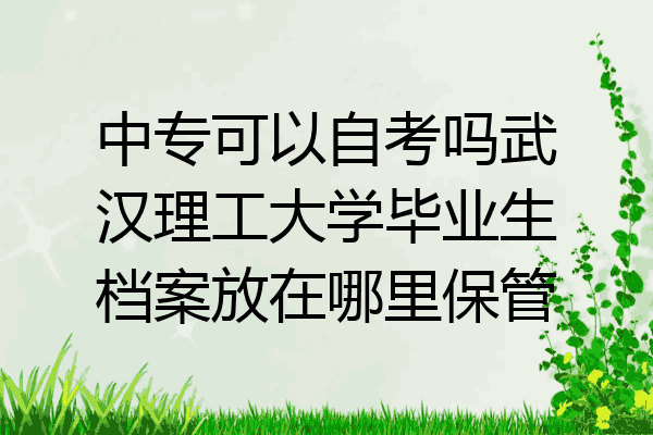 中专可以自考吗武汉理工大学毕业生档案放在哪里保管
